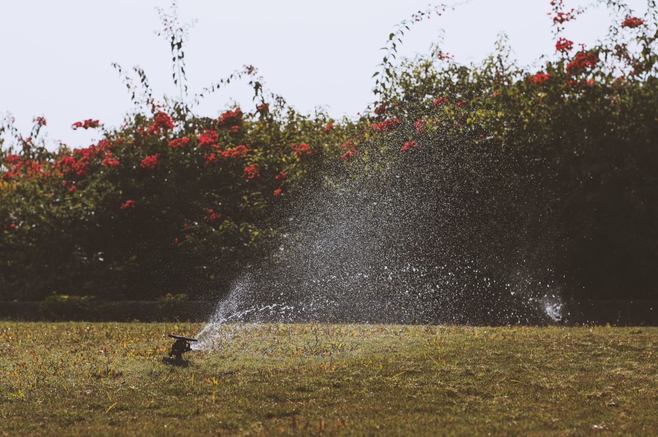 Irrigation system watering a flowering garden border